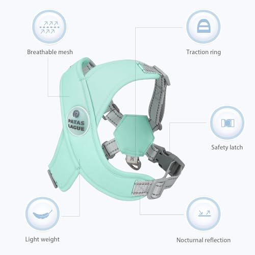 Patas Lague Dog Harness with Leash Set Adjustable Soft Padded Step-in Dog Vest No Choke No Pull Reflective for Small Mediu...
