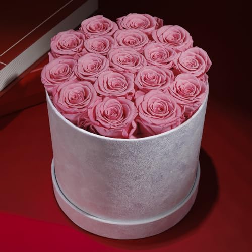 Prifroti 17 Flowers in a Luxury Suede Box, Birthday Gifts for Women, Preserved Flowers, Mothers Day Roses Gift for Mom, Li...