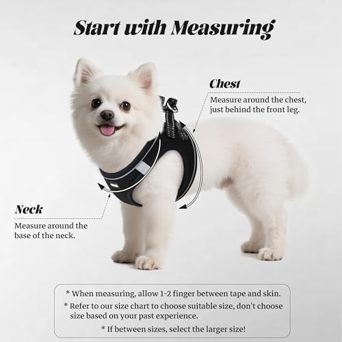 YIMEIS Dog Harness and Leash Set, No Pull Soft Mesh Pet Harness, Reflective Adjustable Puppy Vest for Small Medium Large D...