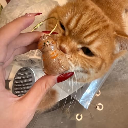 Pet Fur Memorial Keychain-Transparent cat Hair Keychain,Pendant for Cat & Dog Hair Collection -Animal Lovers Keepsake Gift