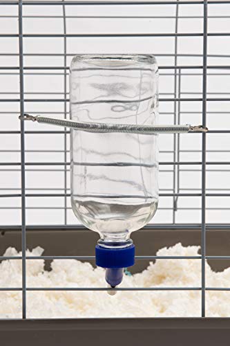 Lixit Glass Water Bottles for Rabbits, Ferrets, Small Birds, Guinea Pigs, Rats, Hamsters and Other Pets (16oz)