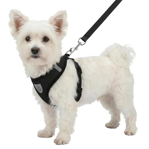 Hypeety Pet Dog Vest Harnesses Puppy Cotton Polyester Adjustable Dog Mesh Harness Travel Chest Strap Vest Reflective (S, B...