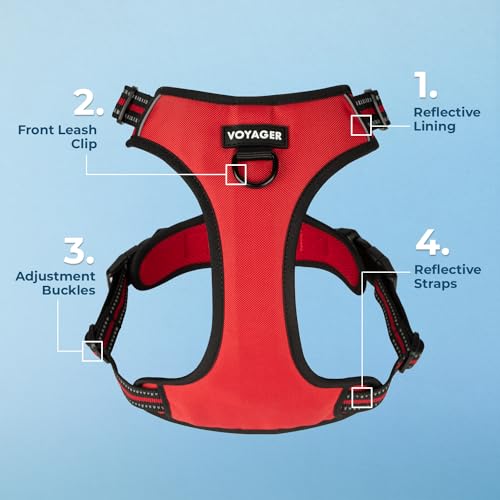 Voyager Dog Harness Dual Leash Attachment No-Pull Control Adjustable Soft but Strong Pet Harness for Medium and Large Dogs...