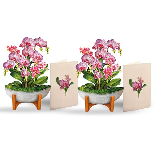 Freshcut Paper Pop Up Cards, Mini Orchid Oasis (Set of 2), 6 Inch Mini Sized Forever Flower Bouquet 3D Popup Greeting Card...