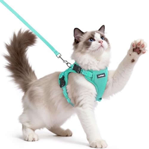 rabbitgoo Cat Harness and Leash, Escape Proof Vest with 3 Adjustable Buckles, Soft Comfortable Kitten Harness, Easy to Wea...