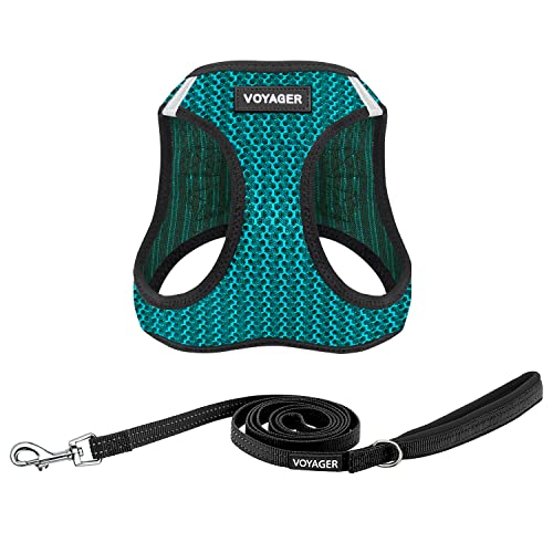 Best Pet Supplies Voyager Step-in Air All Weather Mesh Harness and Reflective Dog 5ft Leash Combo with Neoprene Handle, fo...