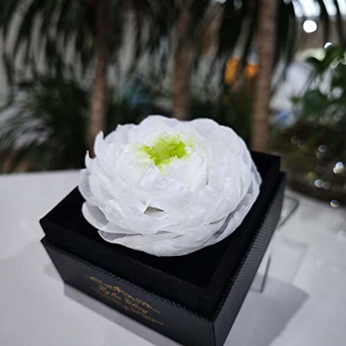 Fresh Cut Flower Preserved Peony for Women Mom Wife Girlfriend - Flower Gift Real Peony Decor for Mother's Day Valentine's...