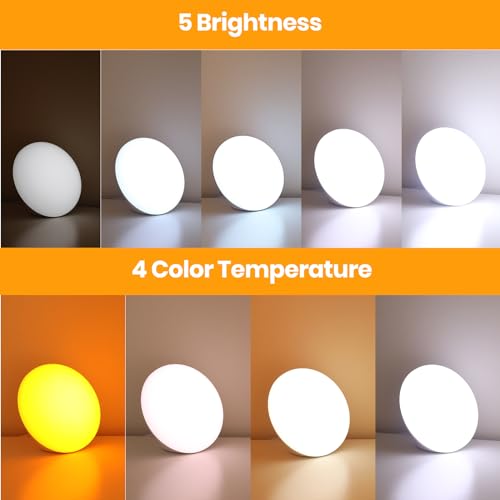 LASTAR Sun Lamp, 10,000 Lux Sunlight Lamp with 4 Color Temperatures & 5 Brightness & 1H Timer, Touch Control Daylight Lamp...