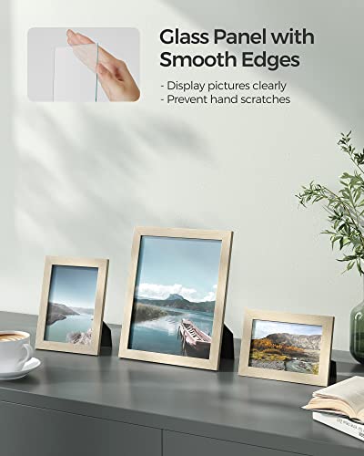 SONGMICS Picture Frames, Collage Picture Frames Set of 10, Two 8x10, Four 5x7, Four 4x6, Photo Frame for Wall Gallery Deco...