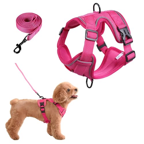 SOLMOONY Small Dog Harness,Soft Mesh Puppy Harness and Leash Set,No Escape Cat Harnesses for Training Walking,Reflective A...