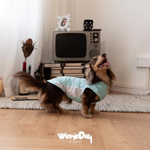 WienieDay Dachshund Dog Cooling Vest, Breathable Summer Dog Cooling & Quick-Dry Shirt for Outdoor Activities,Mini Dachshun...