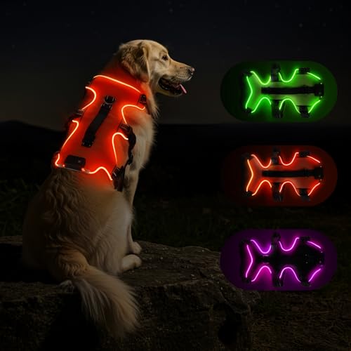 Fiveda Light Up Dog Harness LED Dog Vest - USB-C Rechargeable RGB 9-LED, Slow/Fast Rainbow Modes, Reflective No-Pull Harne...