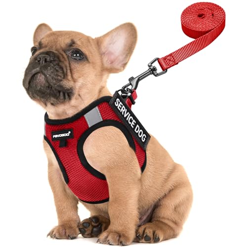 FAYOGOO Service Dog Vest for Small Dogs - Lightweight Dog Harness with 6PCS Removable Patches - Puppy Harness and Leash Se...