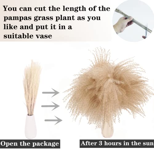 200PCS Dried Flower Bouquet – Pampas Grass, Floral Decor for Home, Wedding, and Boho Style | Perfect for Vases, Fall, Spri...