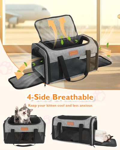 PETUX Airline Approved Pet Carrier - 17x11x9.5 in, Underseat, Top & Side Entry, Soft Sided Cat Dog Carrier for Small Cat &...