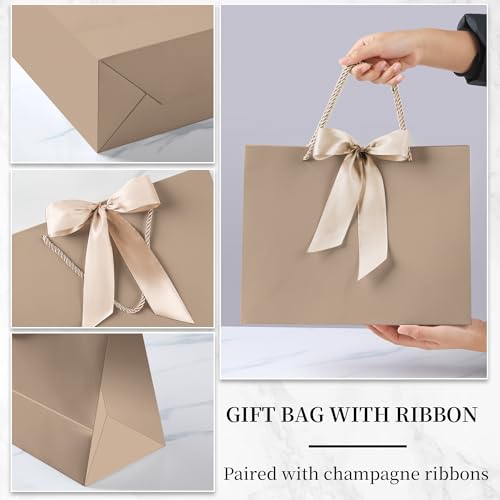 PASEOTA 12.6" Gift Bags Bulk, 10 Pcs Gift Bags with 20 Tissue Paper 10 Greeting Cards, Luxury Bag with Handles for Wedding...
