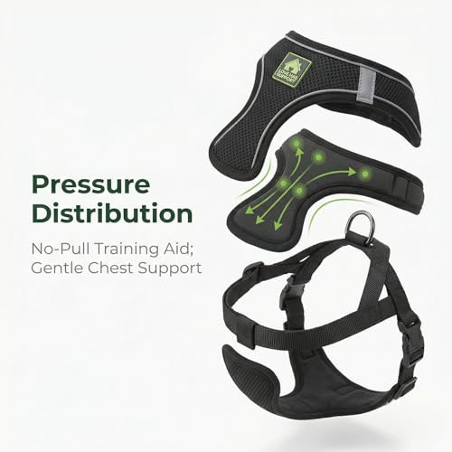 Dog Harness with Leash Set, No Pull Adjustable Reflective Step-in Puppy Harness with Thickened Padded Vest for Extra-Smal...