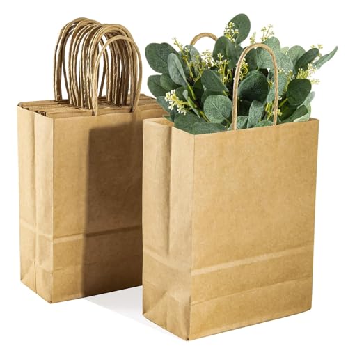 MAQIHAN Small Kraft Bags with Handles - 15 Pcs Small Kraft Paper Bags Brown Bag Paper with Candy Birthday Party Favor Craf...