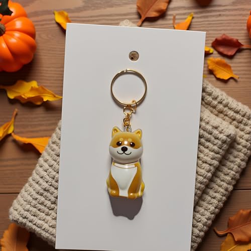 BeSpace Dog Hair Keepsake, Dog Hair Collector Keychain Charm Memorial Storage Box, Pet fur Collection Transparent Capsule,...