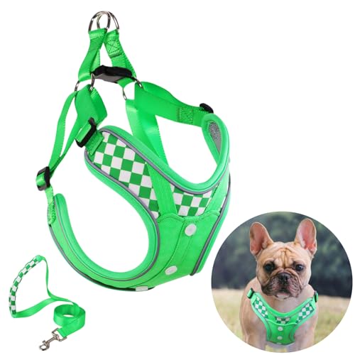 Dog Harness with Leash Set, Adjustable Step in with Breathable Padded Vest Harness for Medium Large Dogs Training and Runn...