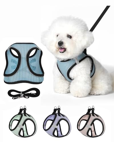 VernAlly Dog Harness Small Sized and Leash Set, Step in Soft Light Puppy Vest, Breathable Mesh Pet Harness Suitable for Pu...