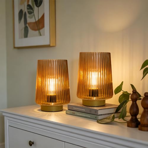 LUSHARBOR Battery Operated Decorative Lamp with Timer, Small Cozy Table Lamp for Bedside & Home Decor, Aesthetic Cordless ...