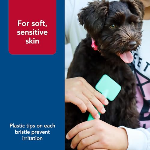 Coastal Pet Li'l Pals Dog Slicker Brush with Coated Tips - Dog Grooming Brush for Small Breeds & Puppies - One Size (3.25”...