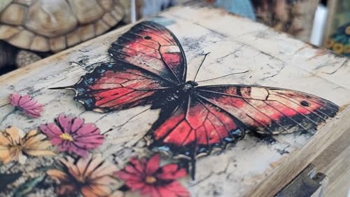 RK Collections Butterfly Trinket Box Small Jewelry Keepsake Box | Storage Box for Girls Women | Gift Idea, Animal Lover Or...