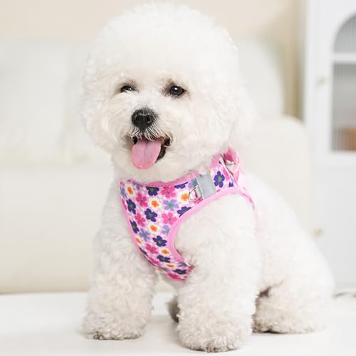 Small Dog Harness and Leash Set, Step in Dog Harness No Pull for Walking Running Training, Puppy Essentials for Dogs Cat B...