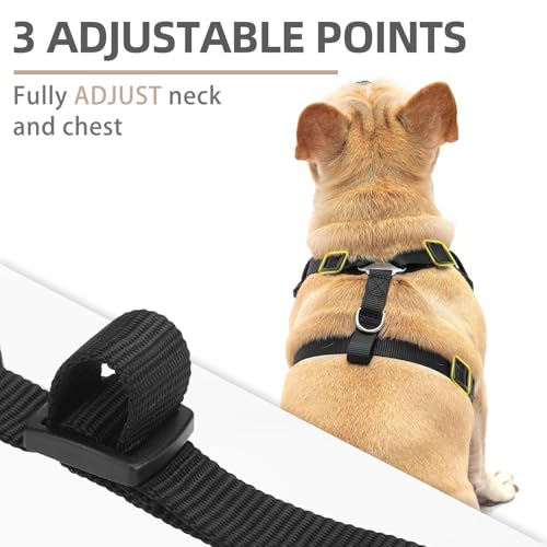 PUPTECK Small Dog Harness and Leash Set, No Pull Adjustable Puppy Cat Harness, Reflective Soft Mesh Pet Vest Small Sized, ...