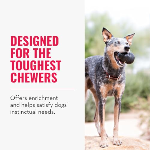 KONG Extreme Dog Toy - Fetch & Chew Toy - Treat-Filling Capabilities & Erratic Bounce for Extended Play Time Most Durable ...