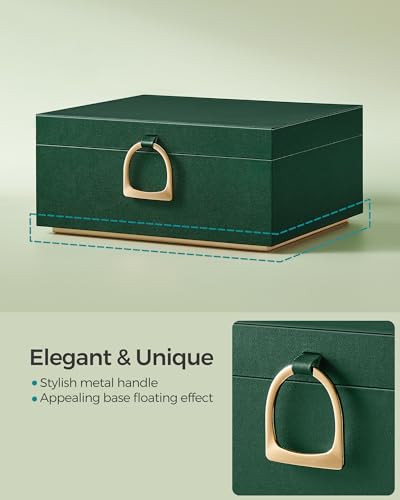 SONGMICS 2-Layer Jewelry Box, Jewelry Organizer with Handle, Removable Jewelry Tray, Jewelry Storage, Floating Effect, 8.1...