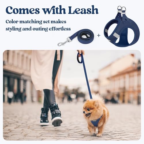 rabbitgoo Dog Harness Small Sized and Leash Set, Step in Soft Light Puppy Vest, Breathable Mesh Pet Harness, Reflective fo...