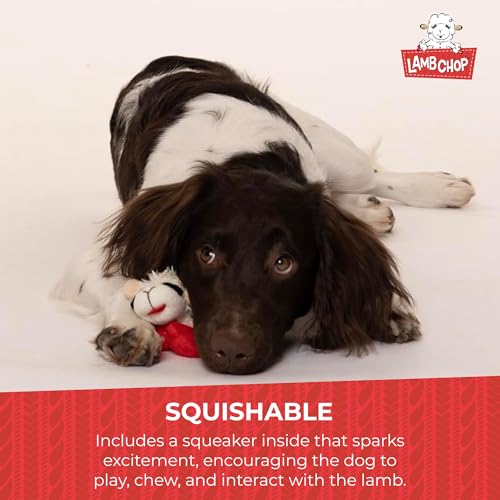 Multipet Lamb Chop Dog Plush Toy - Squeaky Toy for All Dogs - Extra Soft Plush - Stuffed Animal Dog Toy for Cuddling & Pla...
