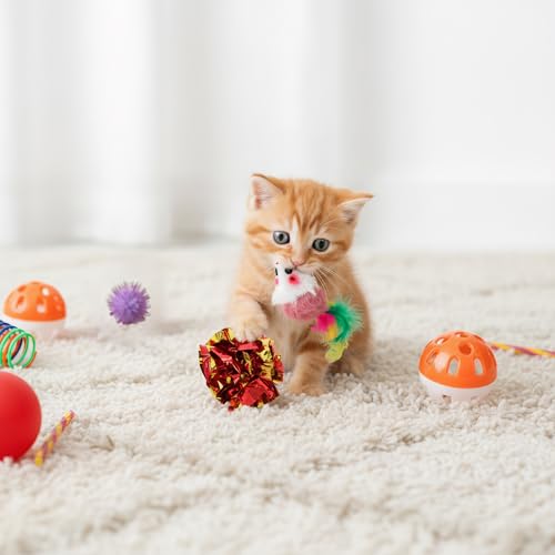 Nicunom 100 Pcs Cat Toys for Indoor Cats and Kittens - Spring, Fur Mice, Crinkle Ball, Sparkle Pom Pom Ball, Bell, Catnip ...