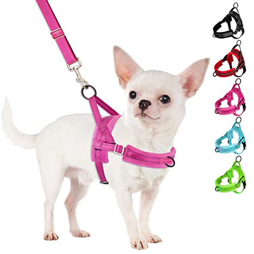 SlowTon No Pull Small Dog Harness and Leash Set, Puppy Soft Vest Harness Neck & Chest Adjustable, Reflective Lightweight H...