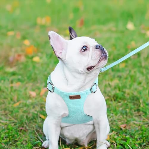 Dog Harness and Leash Set, XXS No Pull Adjustable Puppy Harness with Multifunction Pink Dog Leash and Dog Collar, Soft No ...