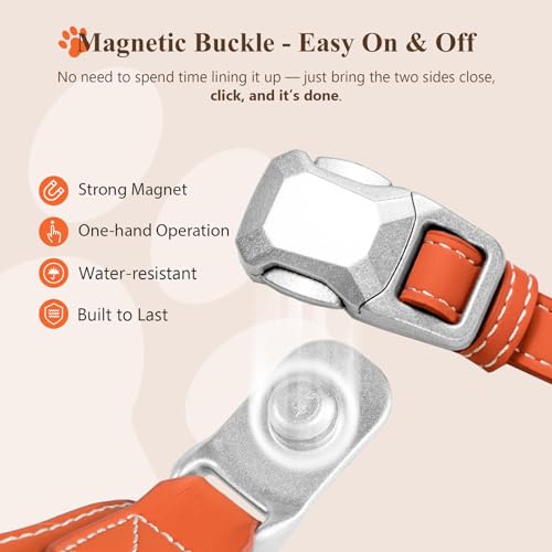 Tokcam Magnetic Dog Harness and Leash Set with Quick Release Buckle, Easy On & Off Faux Leather Puppy Harness with Leash, ...