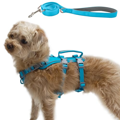 Wuffley Escape Proof Dog Harness and Leash Set, Lightweight Dog Harness with Lift and Assist Handle, No Pull Reflective Pe...