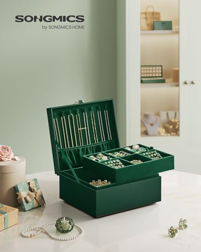 SONGMICS 2-Layer Jewelry Box, Jewelry Organizer with Handle, Removable Jewelry Tray, Jewelry Storage, Floating Effect, 8.1...