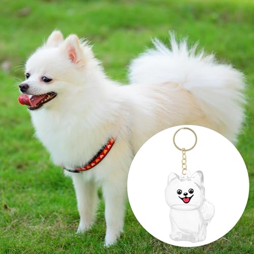 6pcs Dog Hair Storage Keychains, 6 Types Cute Clear Dog Hair Keepsake Keychain with Gold Keyring Pet Fur Storage Collectio...