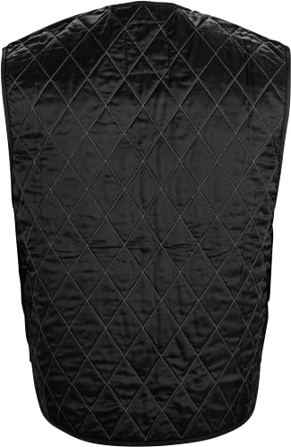 Fly Racing Adult Cooling Vest (Black, Large)