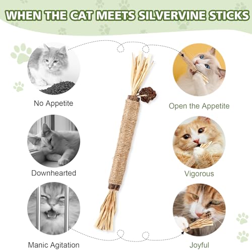 WOUSEDO 6 Pack Silvervine Sticks Cat Toy, Natural Chew Stick for Dental Care Teeth Cleaning,Matatabi Cat nip Treat Toys fo...