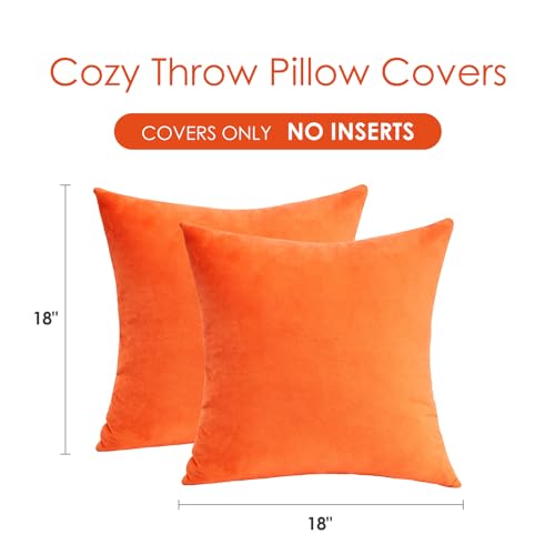 GriNeed Fall Orange Throw Pillow Covers Decorative Velvet Set of 2 18x18 Inch Pillow Covers, Soft Burnt Orange Pillowcases...