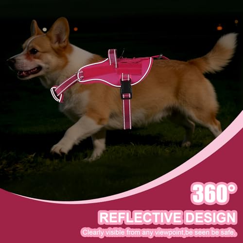 Service Dog Vest, No Pull Dog Harness Small Medium Sized Dog, Service Dog Harnesses and Leash Set, Reflective Easy Walk Do...