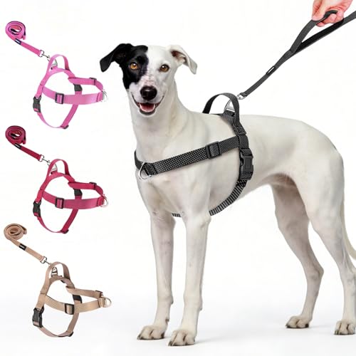 Annchwool No Pull Dog Harness with Front Clip and Easy Control Handle-Belly & Chest Adjustable Dog Harness and Leash Set f...
