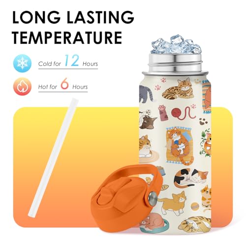 Cat Gifts for Kids - 16 Oz Orange Cat Water Bottle with Straw Lid, Stainless Steel Insulated Tumbler, Leak Proof, for Boys...