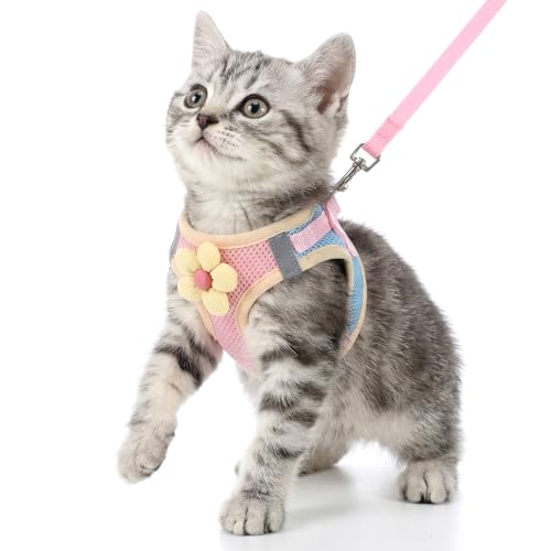 DOPENSPI Flower Cat Harness and Leash Set for Walking Escape Proof, 10.2-11.8in Neck Adjustable Kitten Harness and Leash S...