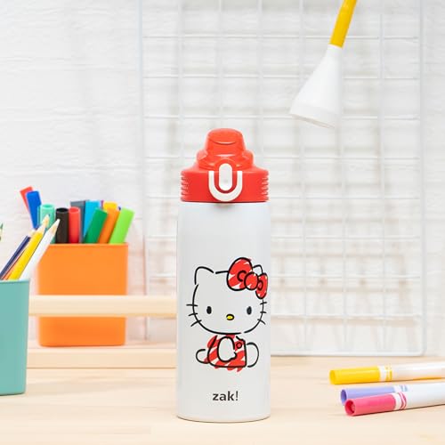 Zak Designs Sanrio Sage Kids Water Bottle For School or Travel, 19oz Stainless Steel Water Bottle With Straw, Handle, and ...