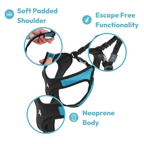 Gooby Escape Free Easy Fit Harness - Purple, Medium - No Pull Step-in Patented Small Dog Harness with Quick Release Buckle...